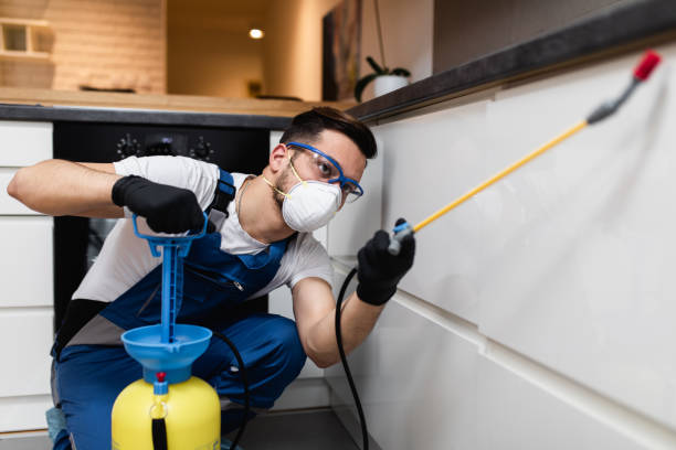 Best Termite Control Services  in Crewe, VA