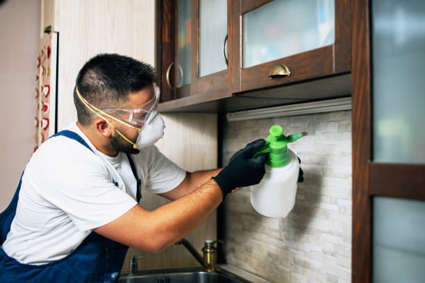 Best Residential Pest Control  in Crewe, VA