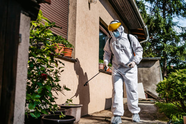 Best Flea Control Services  in Crewe, VA