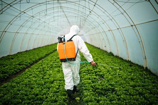 Best Pest Control Near Me  in Crewe, VA