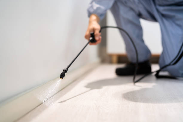 Best Exterminator Services  in Crewe, VA