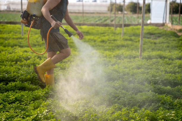Best Best Pest Control Companies  in Crewe, VA
