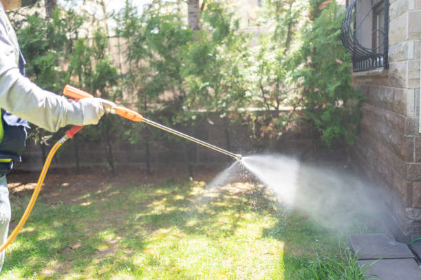 Best Wasp Removal Services  in Crewe, VA