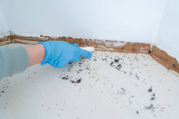Best Best Pest Control Companies  in Crewe, VA