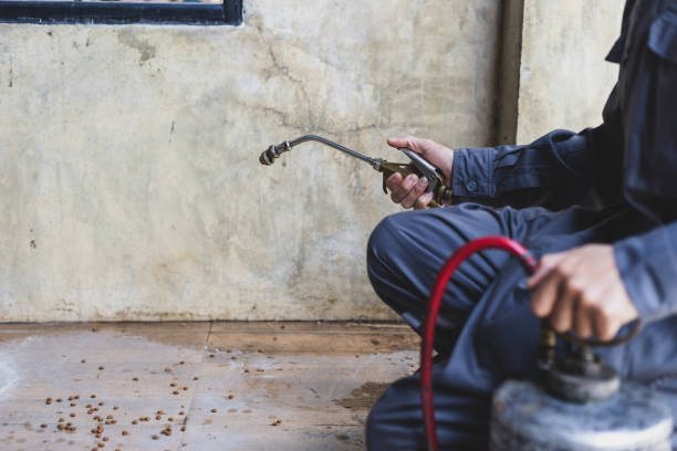 Pest Prevention Services in Crewe, VA